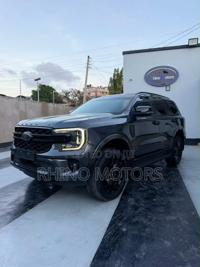 Ford Everest 2024 Gray