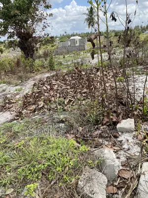 Kiwanja Nakiuza Kipo MKURANGA, Malela, Kata Vianzi. Soma Maelezo Chini