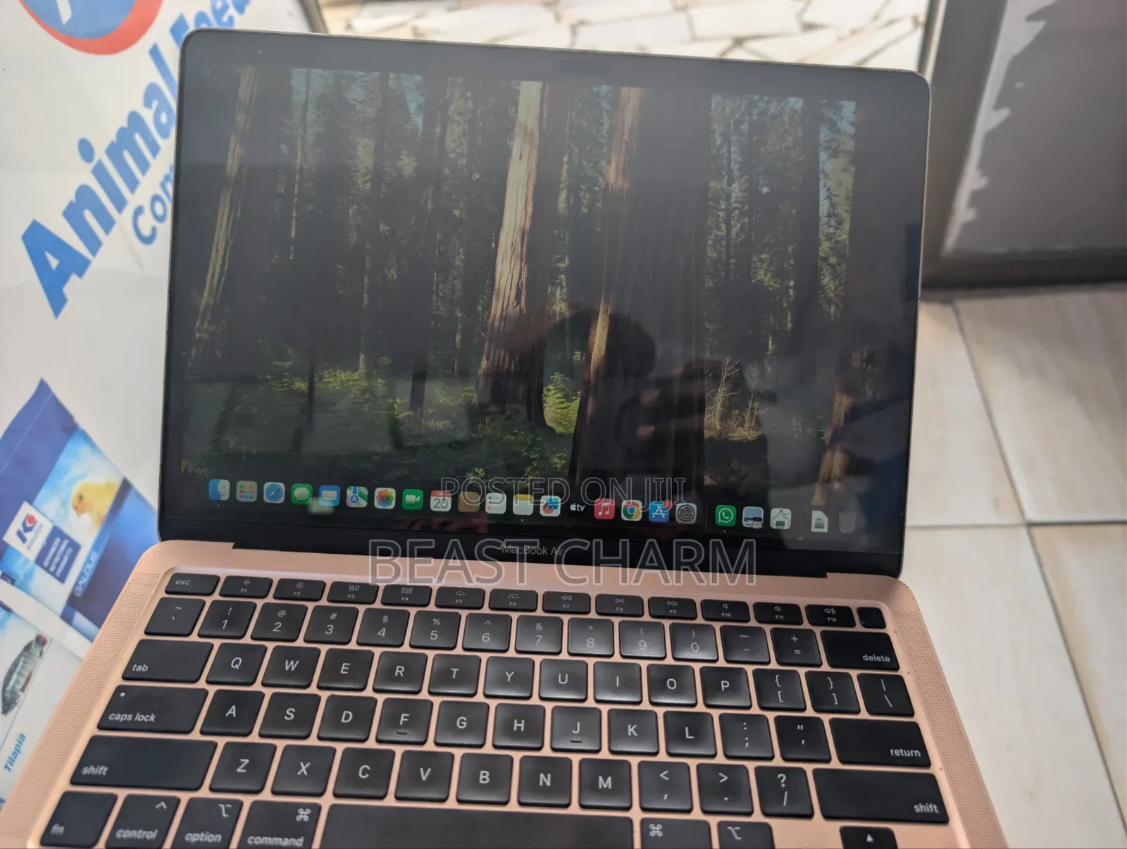 Laptop Apple MacBook Air 2020 8GB Intel Core 3 SSD 256GB