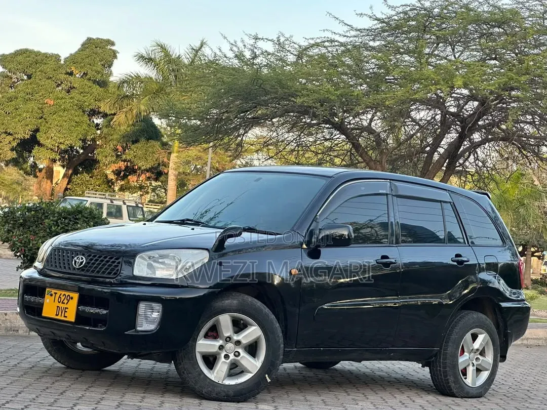 Toyota RAV4 2001 Black