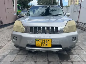 Nissan X-Trail 2009 Silver