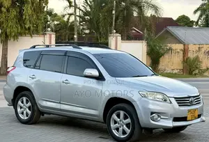 Toyota Vanguard 2009 Silver