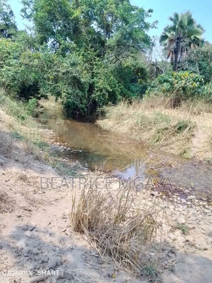 Farm for Sale –400 Acres in Nandete, Madaba, Songea