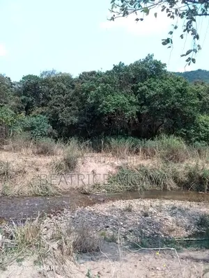 Farm for Sale –400 Acres in Nandete, Madaba, Songea
