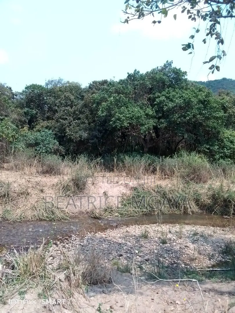 Farm for Sale –400 Acres in Nandete, Madaba, Songea