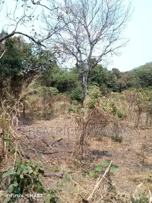 Farm for Sale –400 Acres in Nandete, Madaba, Songea