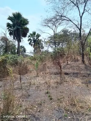 Farm for Sale –400 Acres in Nandete, Madaba, Songea