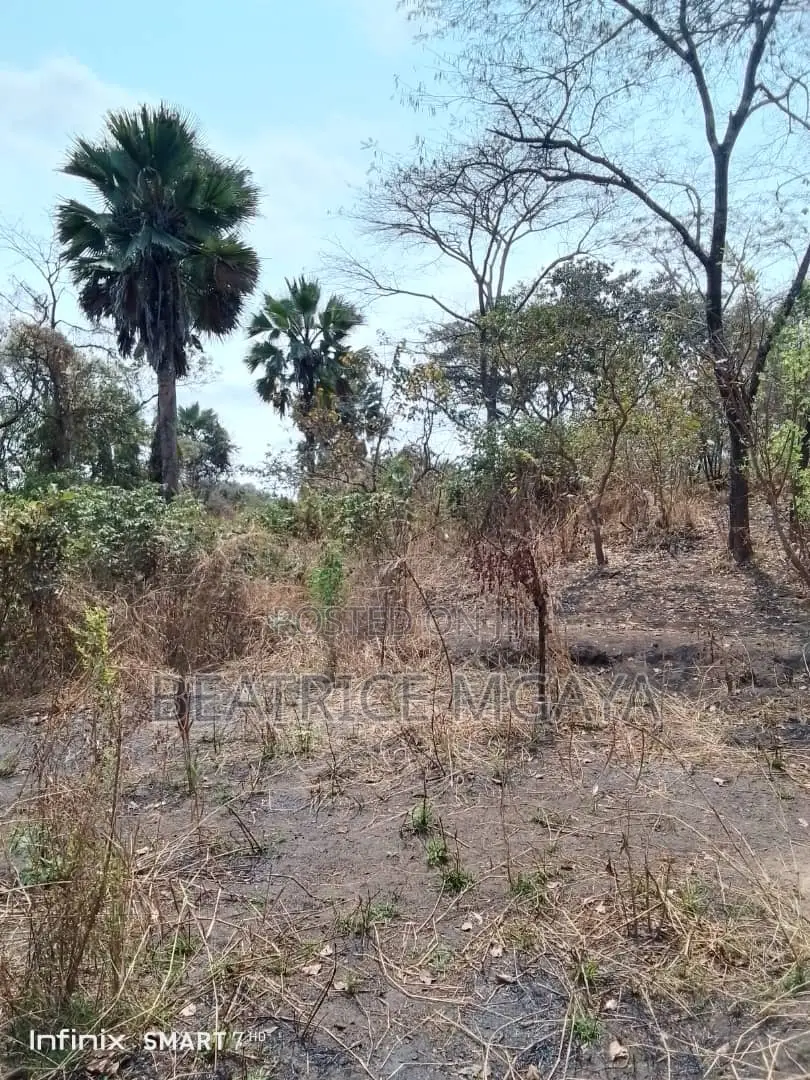 Farm for Sale –400 Acres in Nandete, Madaba, Songea
