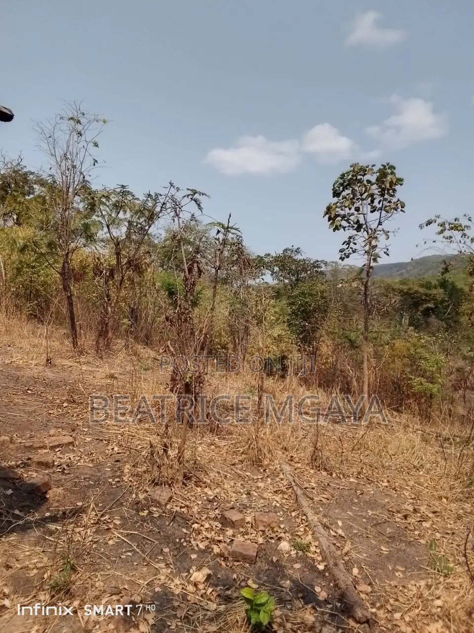 Farm for Sale –400 Acres in Nandete, Madaba, Songea