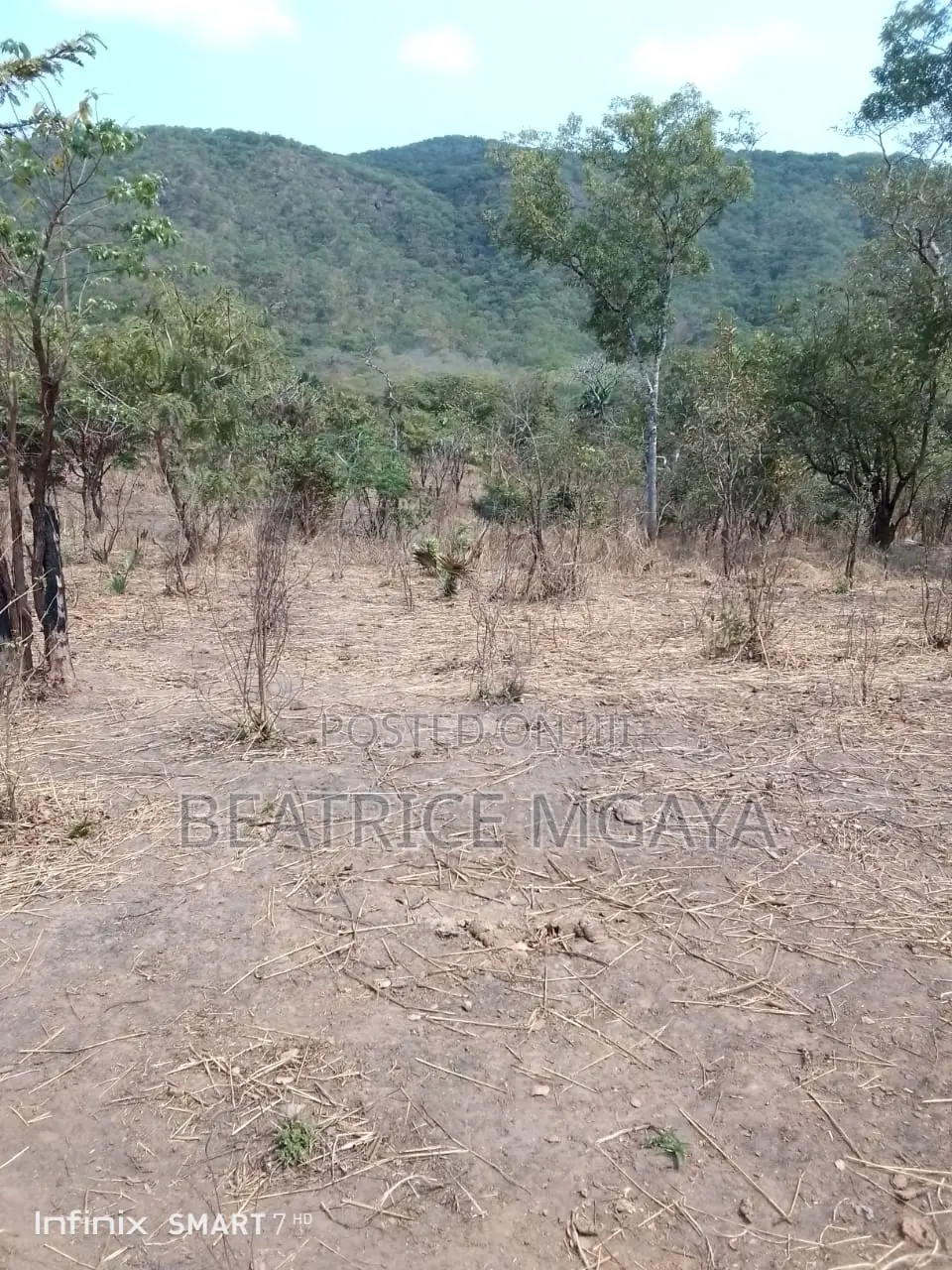 Farm for Sale –400 Acres in Nandete, Madaba, Songea