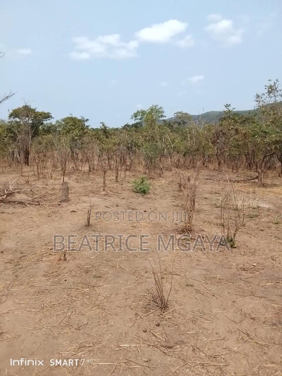 Farm for Sale –400 Acres in Nandete, Madaba, Songea