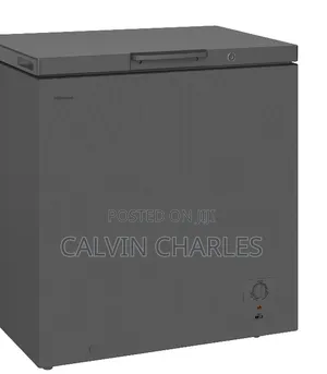 Hisense Freezer H250cfs