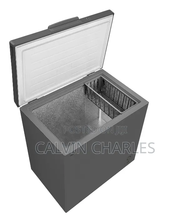 Hisense Freezer H250cfs