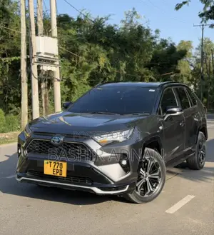 Toyota RAV4 2023 Gray
