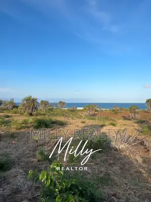 Beachfront Land for Sale KIGAMBONI MBUTU KICHANGANI