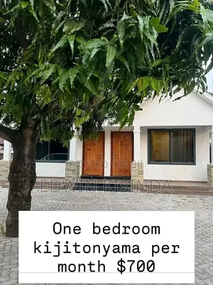 Furnished 1bdrm Apartment in Kijitonyama for rent
