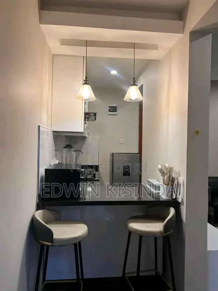 Furnished 1bdrm Apartment in Kijitonyama for rent