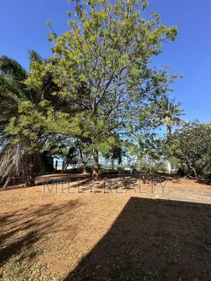 BeachFront Land for Sale MIKOCHENI/ MSASANI BEACH