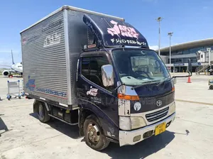 Toyota Dyna 2003 White