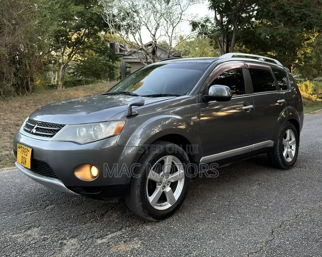 Mitsubishi Outlander 2008 Gray