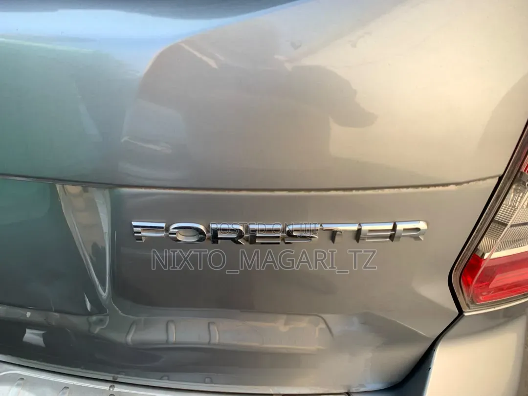 Subaru Forester 2015 Silver
