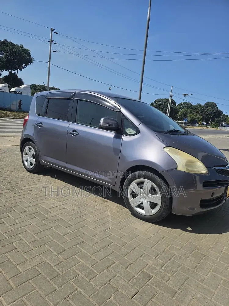 Toyota Ractis 2007 Gray