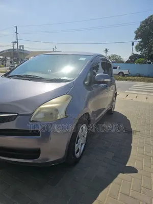 Toyota Ractis 2007 Gray