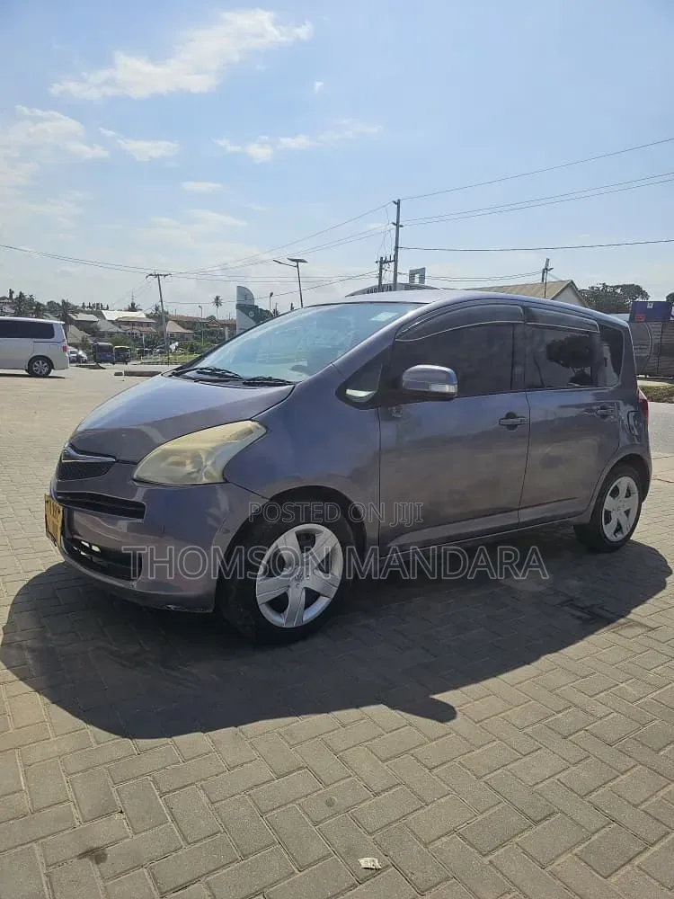 Toyota Ractis 2007 Gray