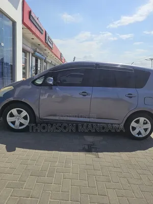 Toyota Ractis 2007 Gray