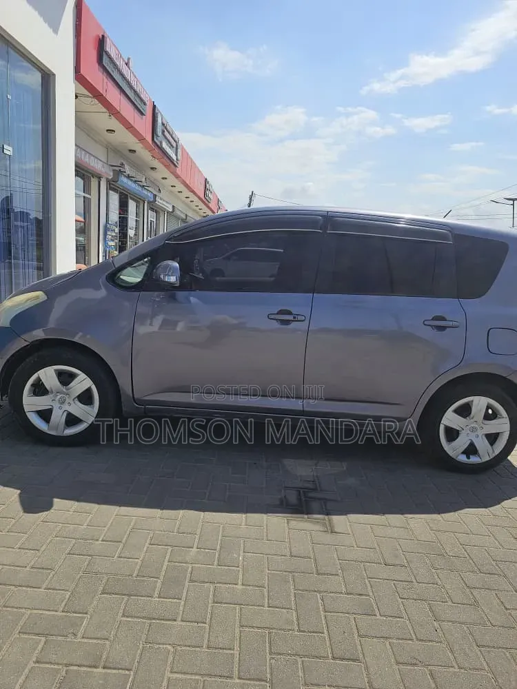 Toyota Ractis 2007 Gray