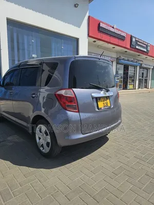 Toyota Ractis 2007 Gray