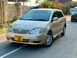 Toyota Allex 2004 Gold