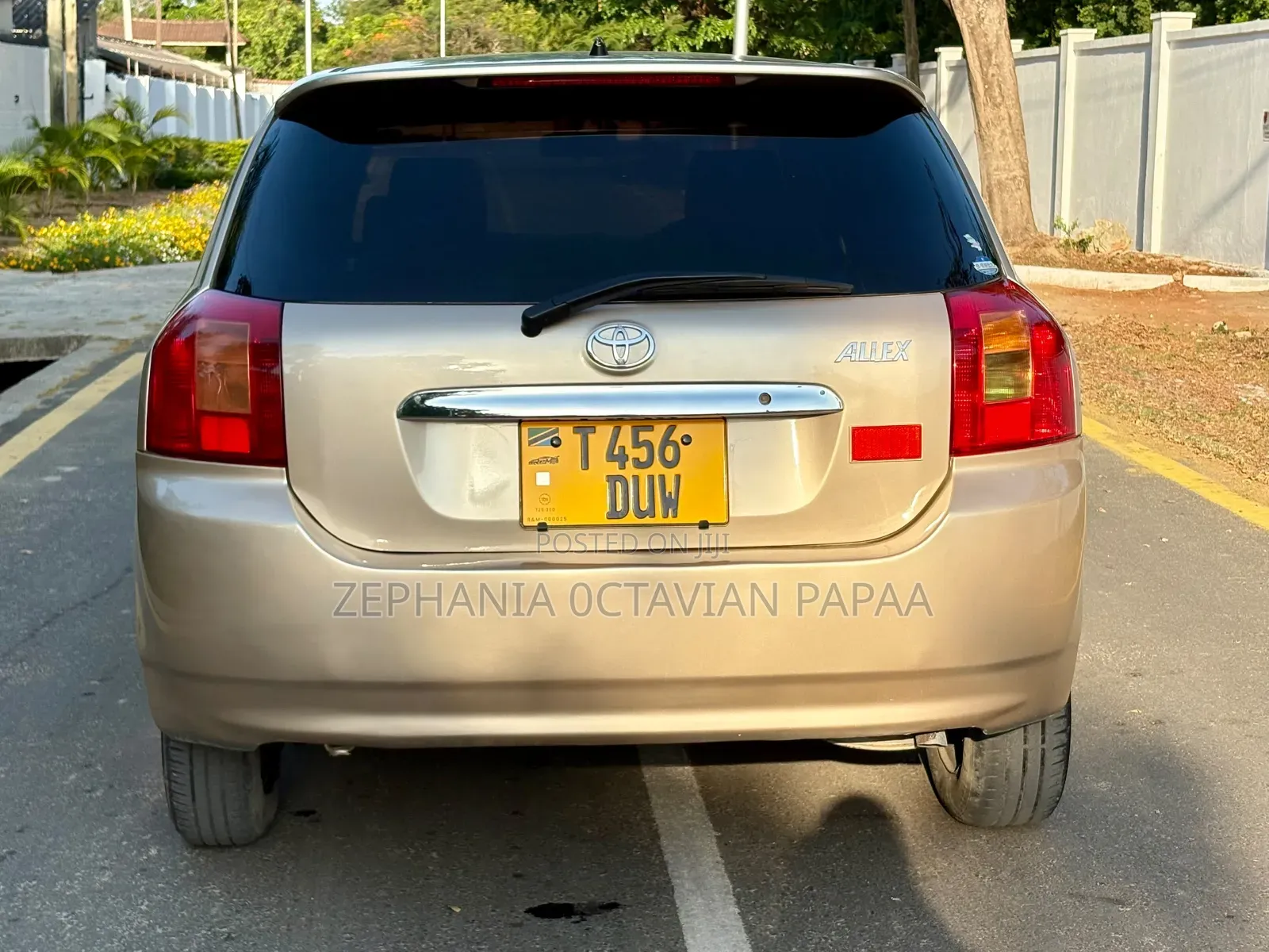 Toyota Allex 2004 Gold