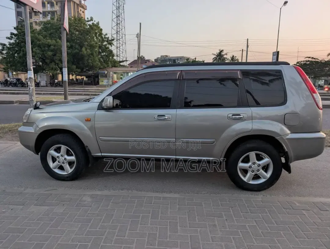 Nissan X-Trail 2002 Gray