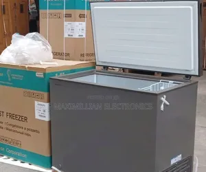 Hisense H320 CFS Silver (250 Ltrs)