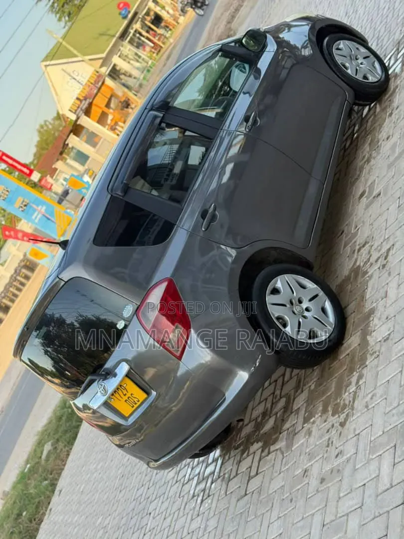 Toyota Ractis 2008 Gray