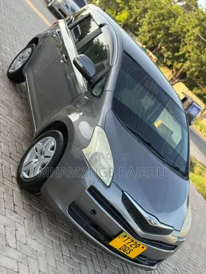 Toyota Ractis 2008 Gray