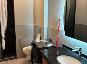 Furnished 1bdrm Apartment in Masaki for rent