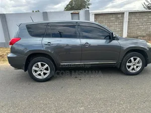 Toyota Vanguard 2010 Gray