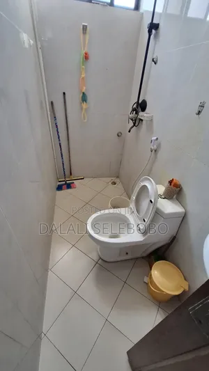 1bdrm Apartment in Sinza for rent