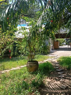 4bdrm House in Mikocheni for sale