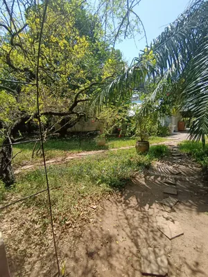 4bdrm House in Mikocheni for sale