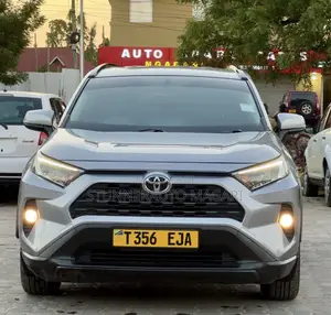 Toyota RAV4 2019 Gray