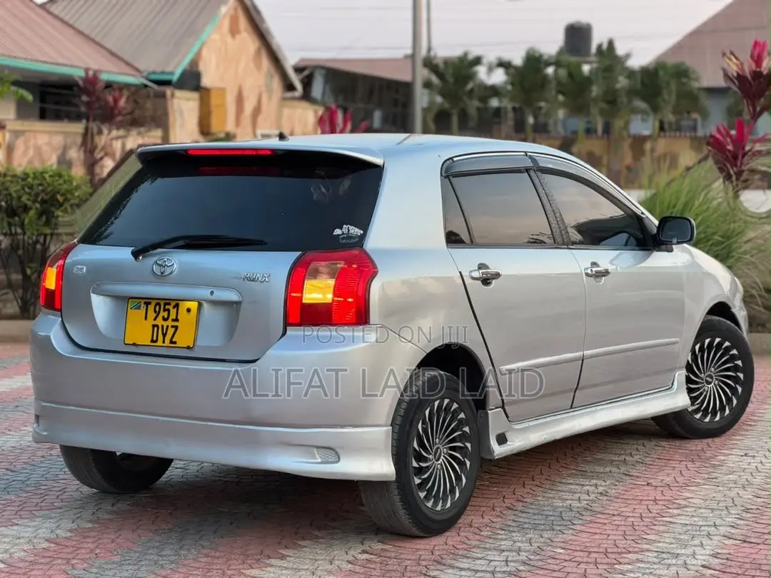 Toyota Allex 2005 Silver