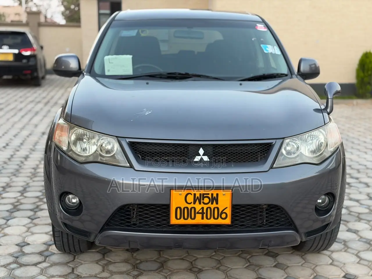 Mitsubishi Outlander 2010 Gray