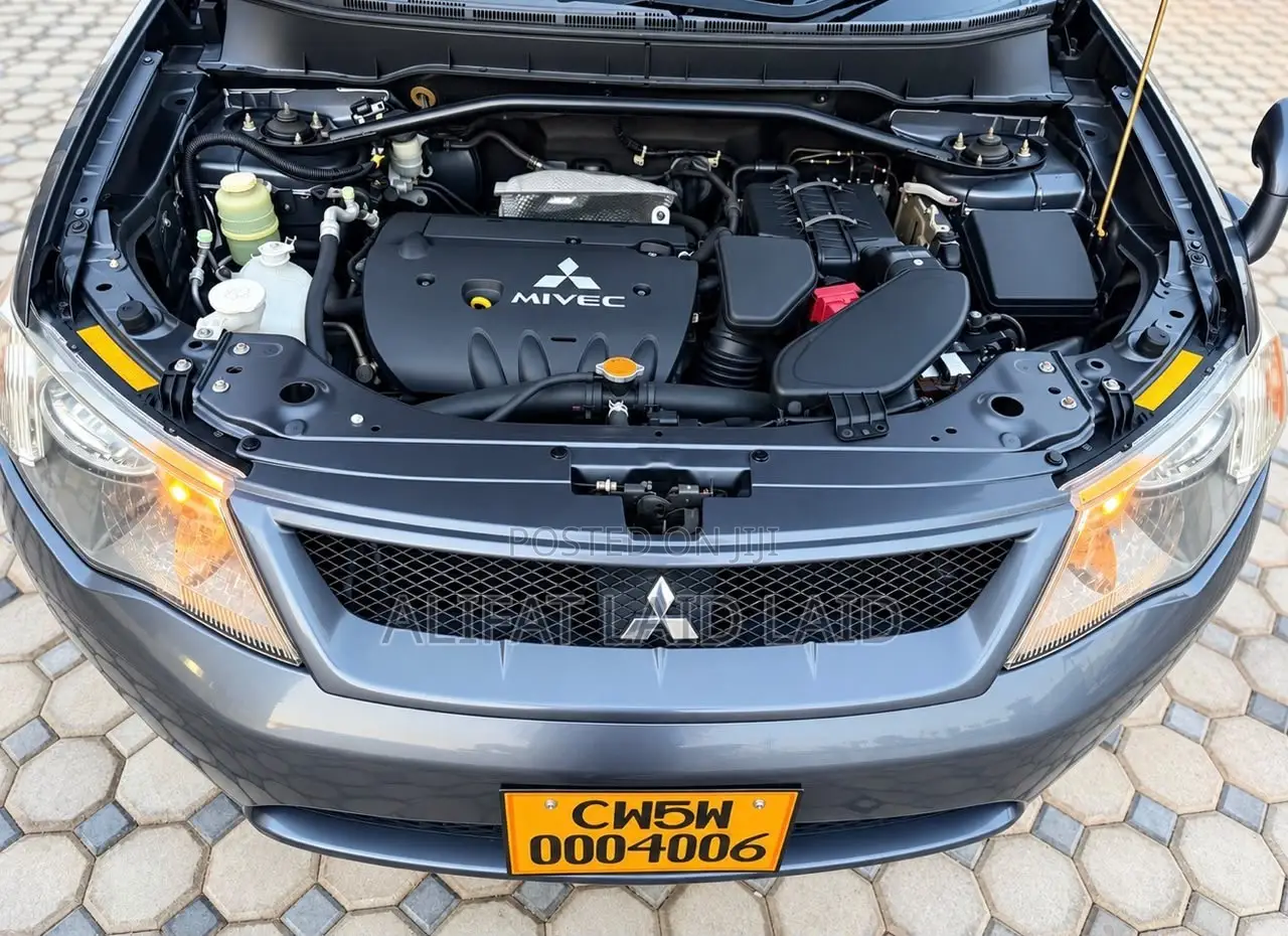 Mitsubishi Outlander 2010 Gray