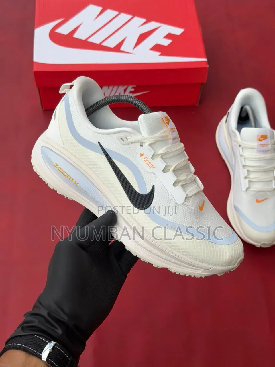 Nike Zoomx Gore _Tex