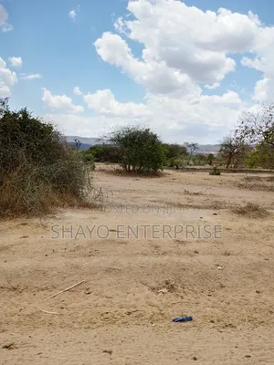 Mashamba Yanauzwa Singida