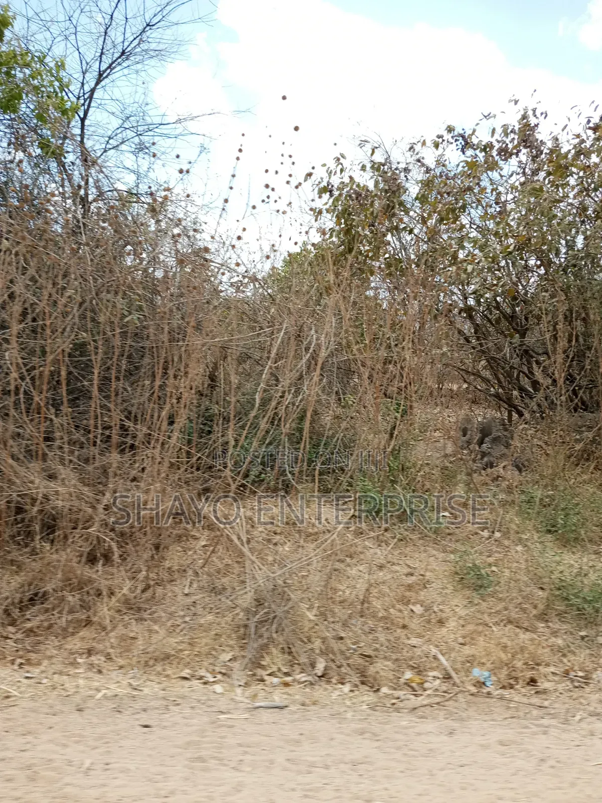 Mashamba Yanauzwa Singida