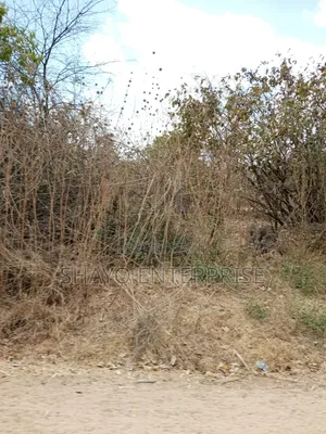 Mashamba Yanauzwa Singida